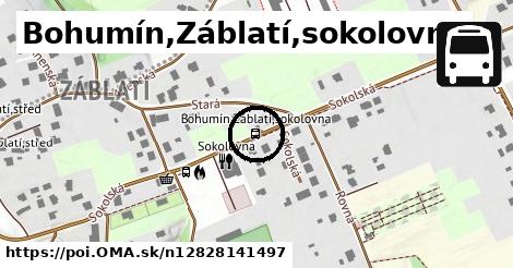 Bohumín,Záblatí,sokolovna