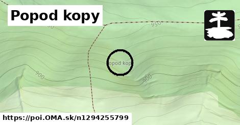 Popod kopy