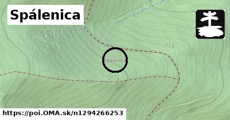 Spálenica