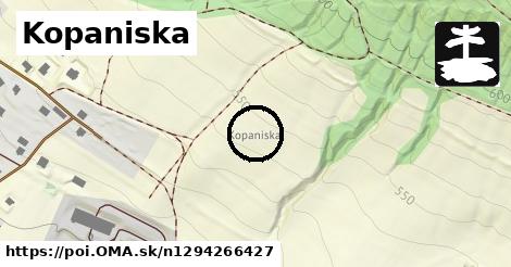 Kopaniska