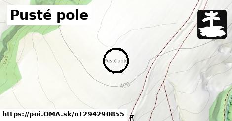 Pusté pole