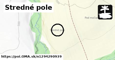 Stredné pole