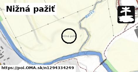 Nižná pažiť