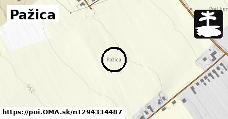 Pažica