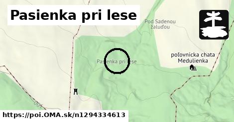 Pasienka pri lese