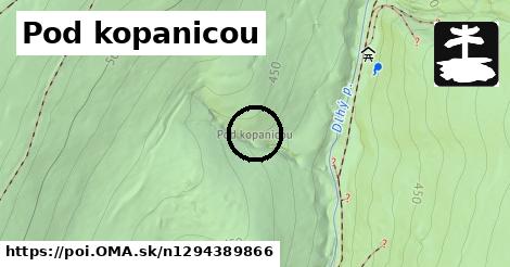 Pod kopanicou