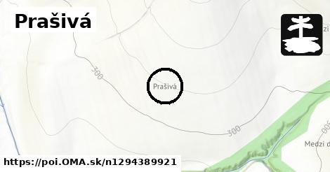 Prašivá