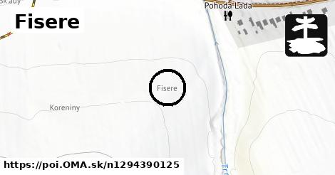 Fisere