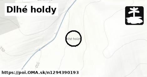 Dlhé holdy