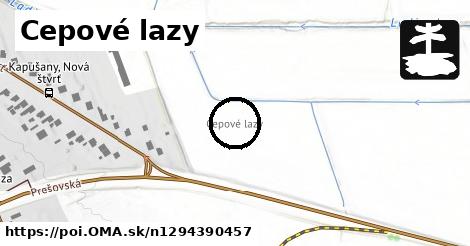 Cepové lazy