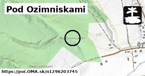 Pod Ozimniskami