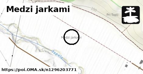 Medzi jarkami