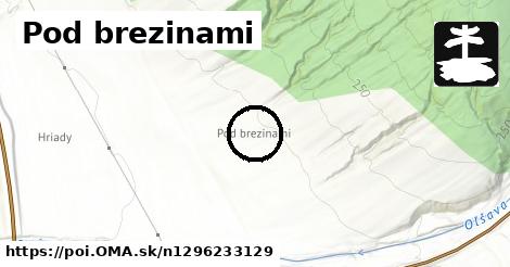 Pod brezinami