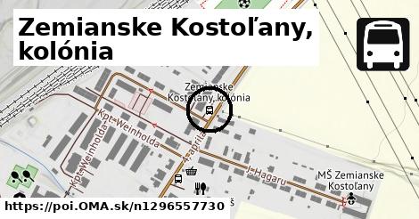 Zemianske Kostoľany, kolónia