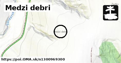 Medzi debri