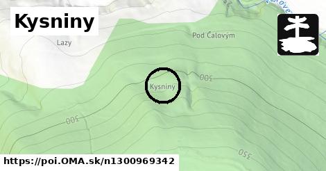 Kysniny