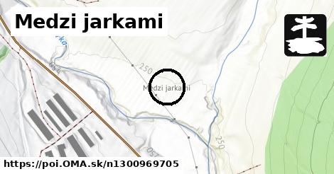 Medzi jarkami