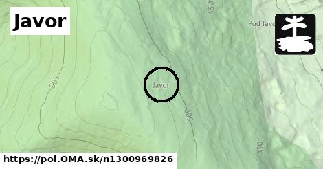 Javor