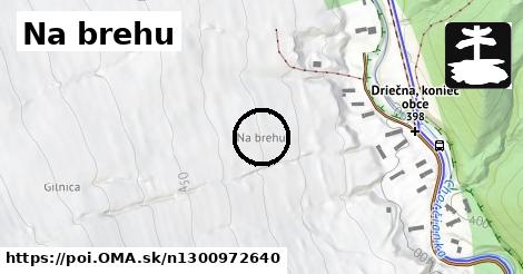 Na brehu