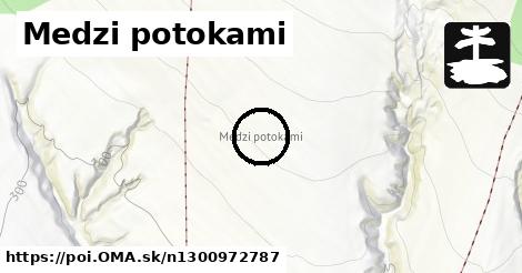 Medzi potokami