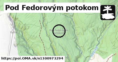 Pod Fedorovým potokom