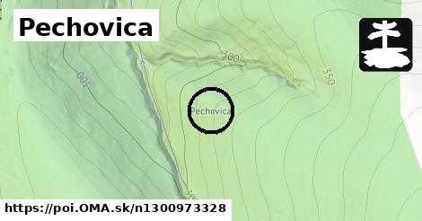 Pechovica