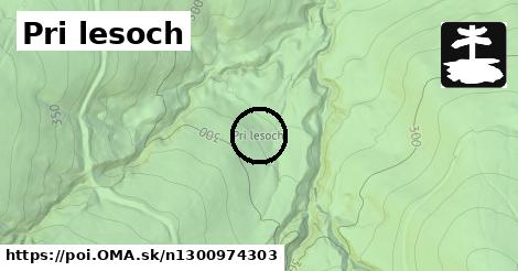 Pri lesoch