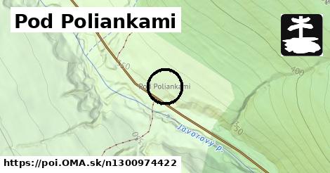 Pod Poliankami