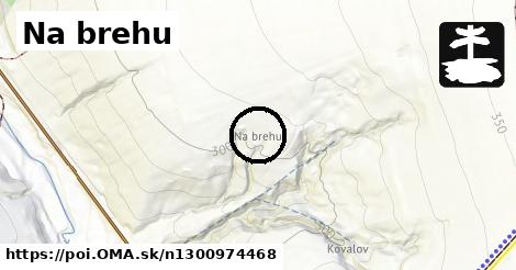 Na brehu