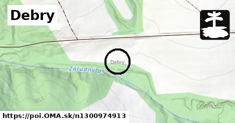 Debry