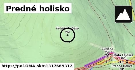 Predné holisko