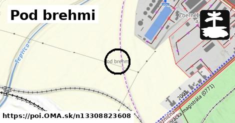 Pod brehmi