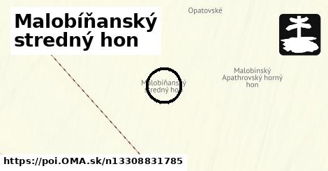 Malobíňanský stredný hon