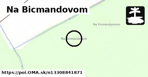 Na Bicmandovom