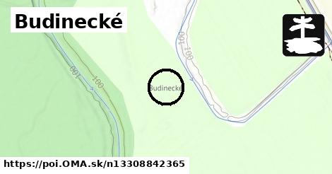 Budinecké