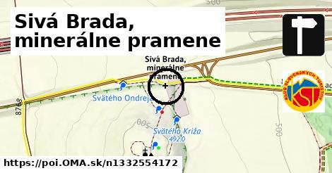 Sivá Brada, minerálne pramene