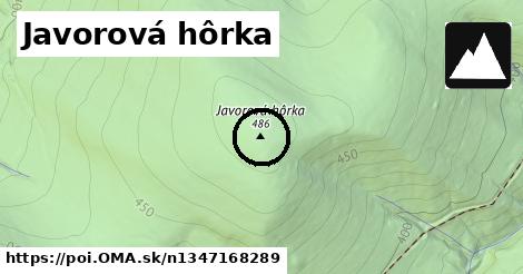 Javorová hôrka