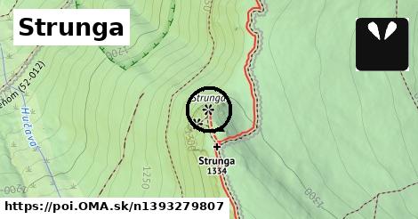 Strunga