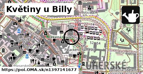 Květiny u Billy