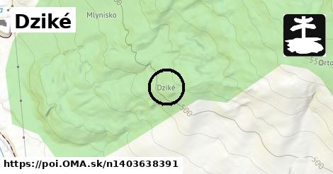 Dziké