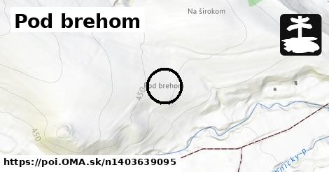 Pod brehom