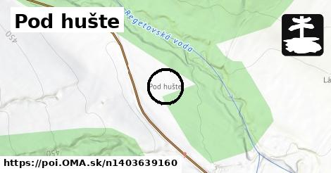 Pod hušte