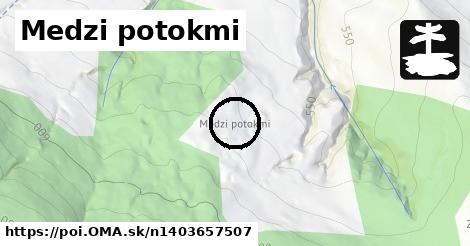 Medzi potokmi