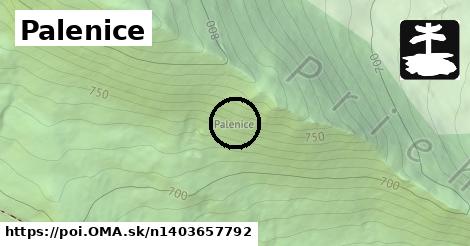 Palenice