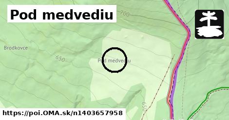 Pod medvediu