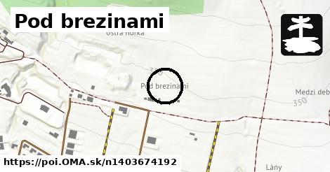 Pod brezinami