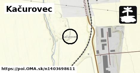 Kačurovec