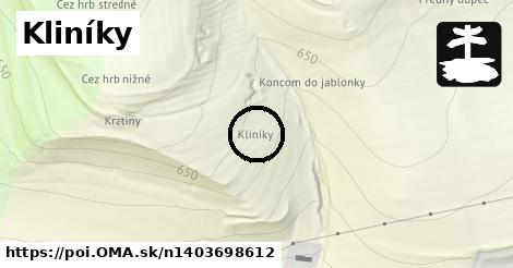 Kliníky