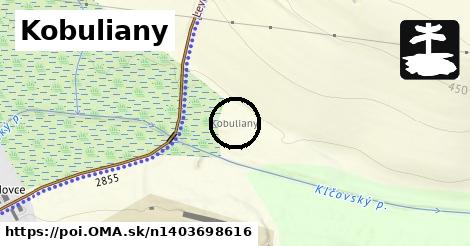 Kobuliany