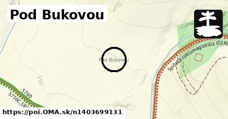 Pod Bukovou